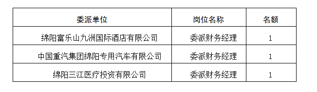 委派財(cái)務(wù)經(jīng)理5.11